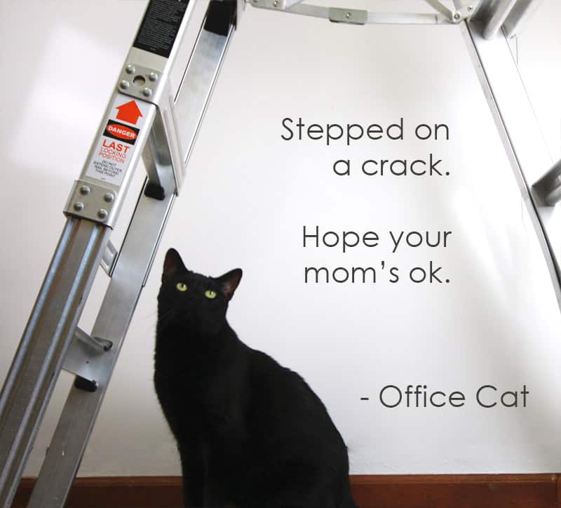 officecat2