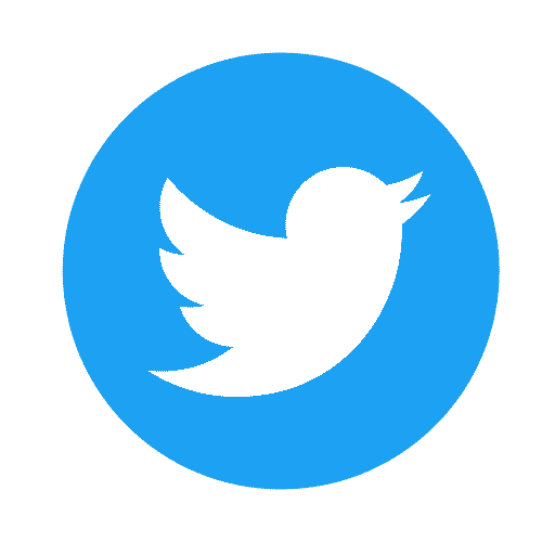 twitter bird icon 