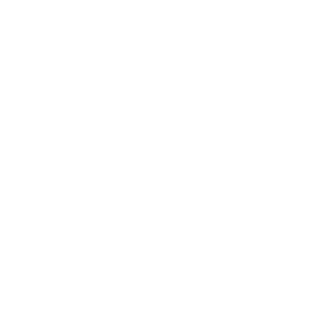 1 04 Blackbird Logo