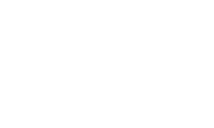 4 01 triton logo emblem WHT WEB