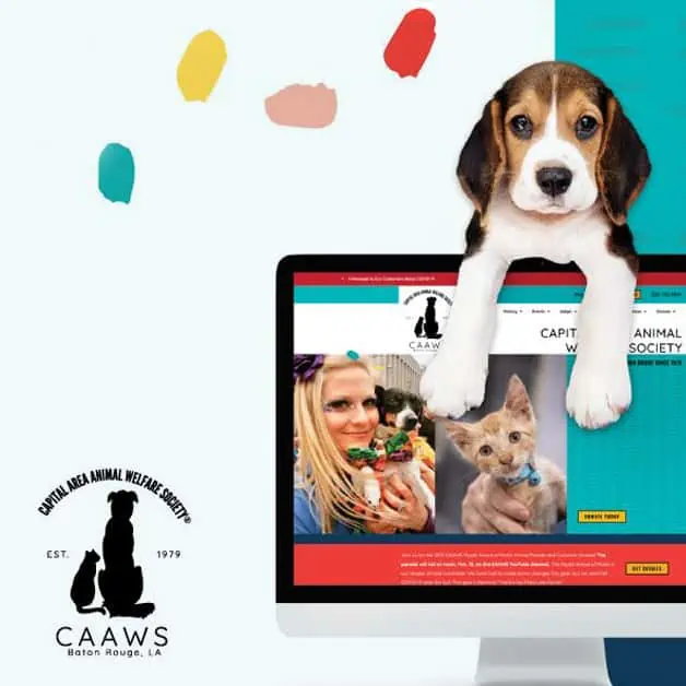 advertising services in baton rouge provided for CAAWS website design